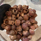 Refill Soap Nuts / 100g